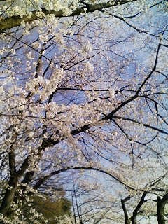 100402_1632~01.jpg
