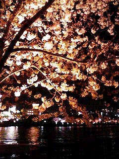 100402_2002~01.jpg