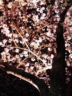 100402_2006~02.jpg