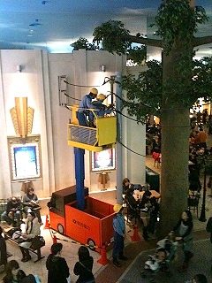 IMG_2567.jpg