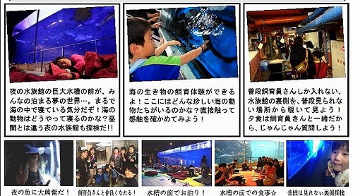 aquarium.jpg