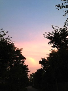 run20120729.jpg