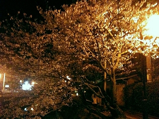 s-2010040409.jpg