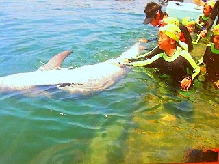 s-IMG_1461.jpg