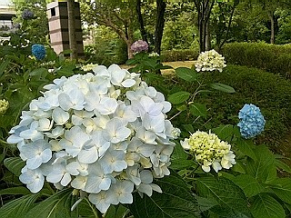s-IMG_4379.jpg