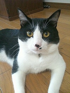 s-IMG_6428.jpg